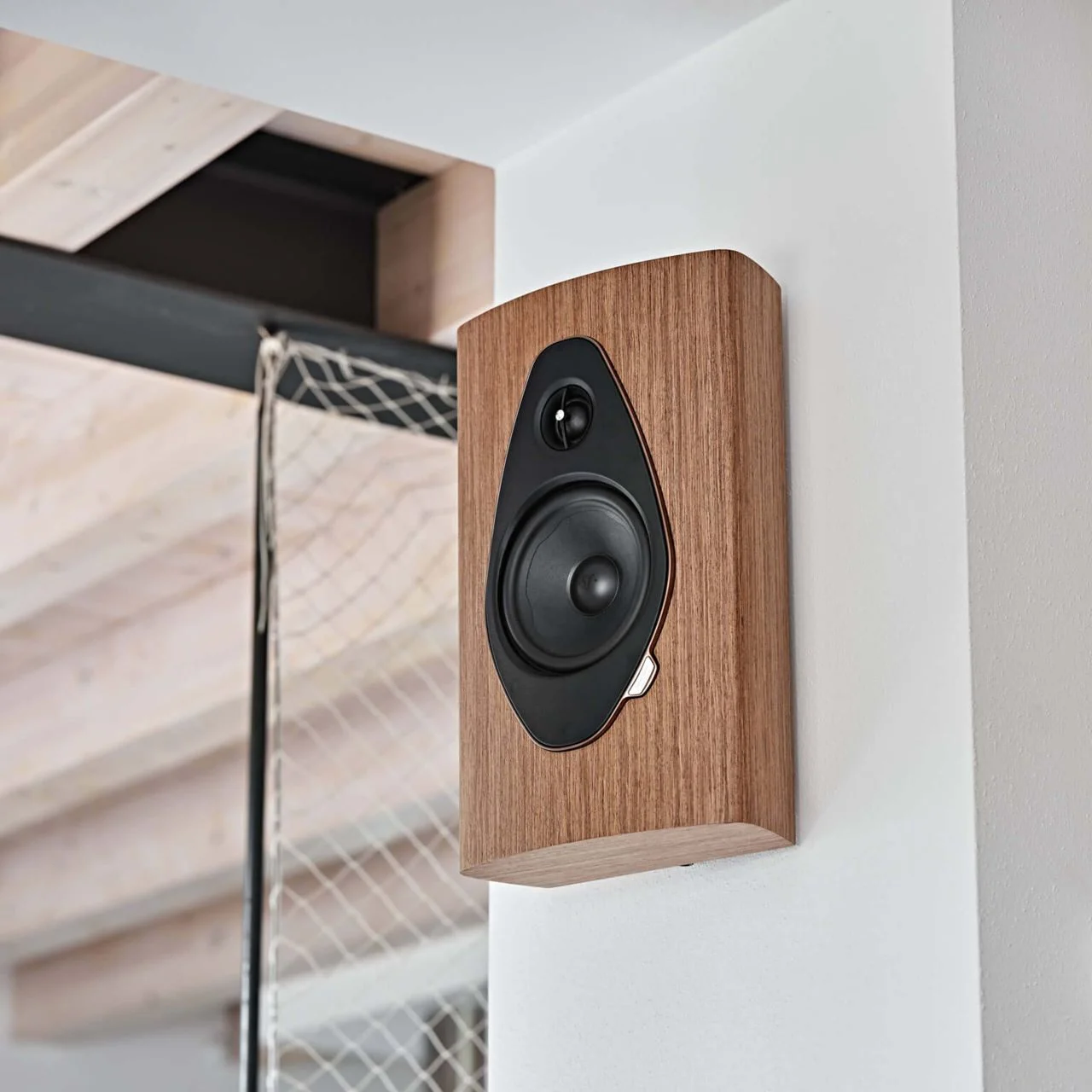 Sonus Faber repair example