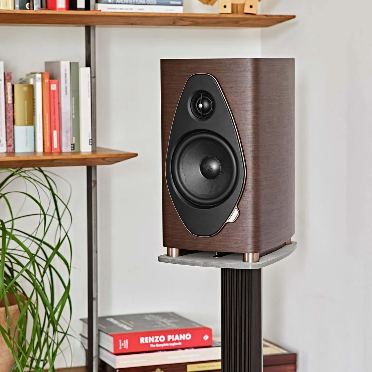 Sonus Faber repair example