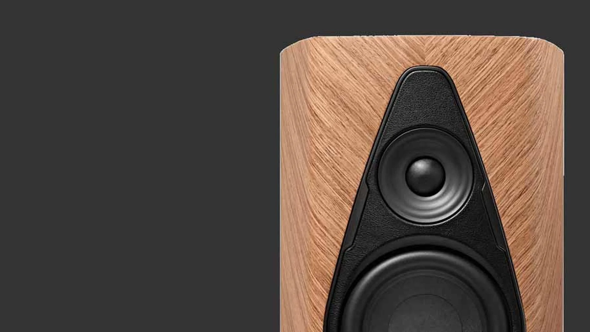 Sonus Faber repair example