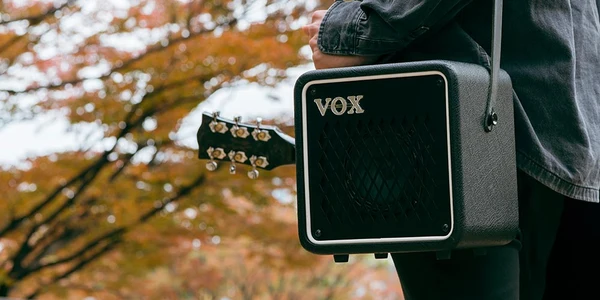 Vox repair example